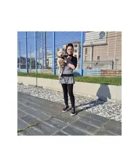 Cerco relazione seria savona - 2